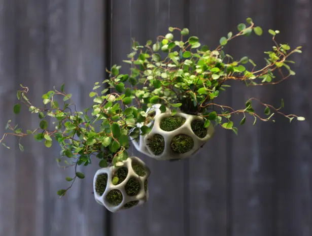 Cella Urban Planter Pods Bring You Closer to Nature