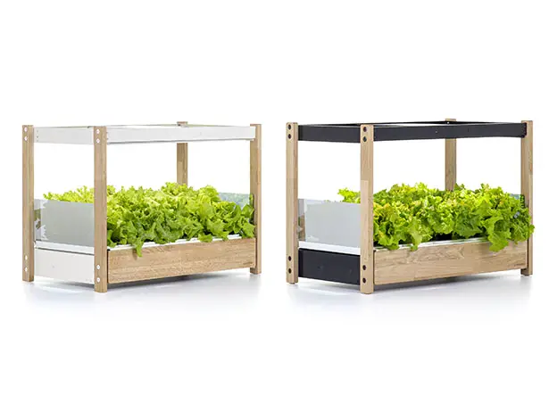 Click & Grow 25 Self-Growing Garden Provides Healthy Food and a Touch of Nature in Your Home