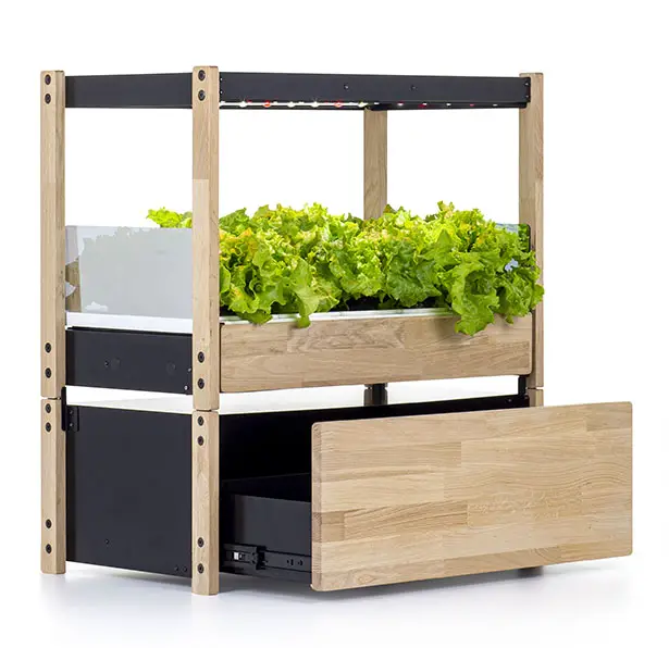 Click & Grow 25 Self-Growing Garden Provides Healthy Food and a Touch of Nature in Your Home