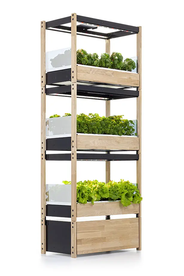 Click & Grow 25 Self-Growing Garden Provides Healthy Food and a Touch of Nature in Your Home