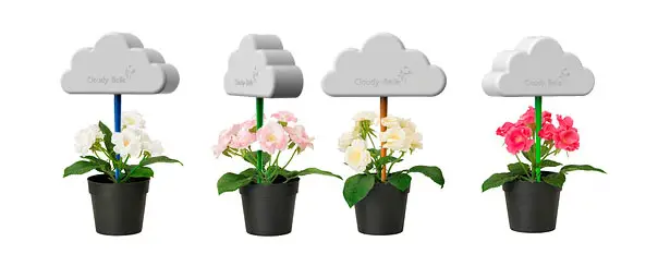 Cloudy Belle Plant Pot Decoration