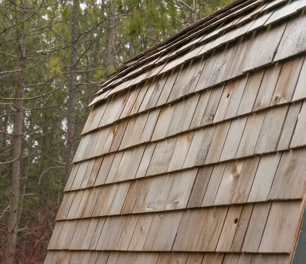 Collingwood Shepherd Hut by Gute