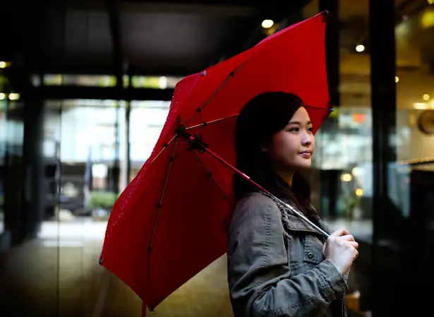 Cypress Umbrella by Hedgehog