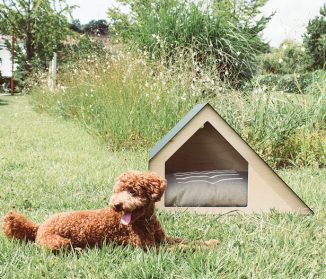 Deauville Pet House Design with Angular Structures