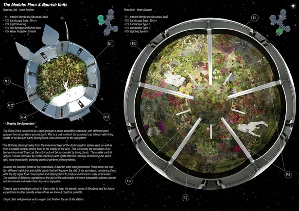 Dodecaplex Space Ecosystem