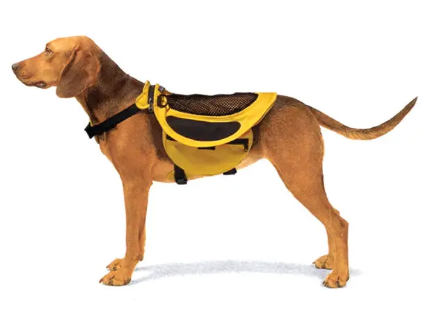 Pet bag carrier sale singapore, best hiking dog backpack harness