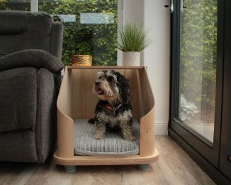Doze Home Furniture Doubles as A Safe Space for Your Pet