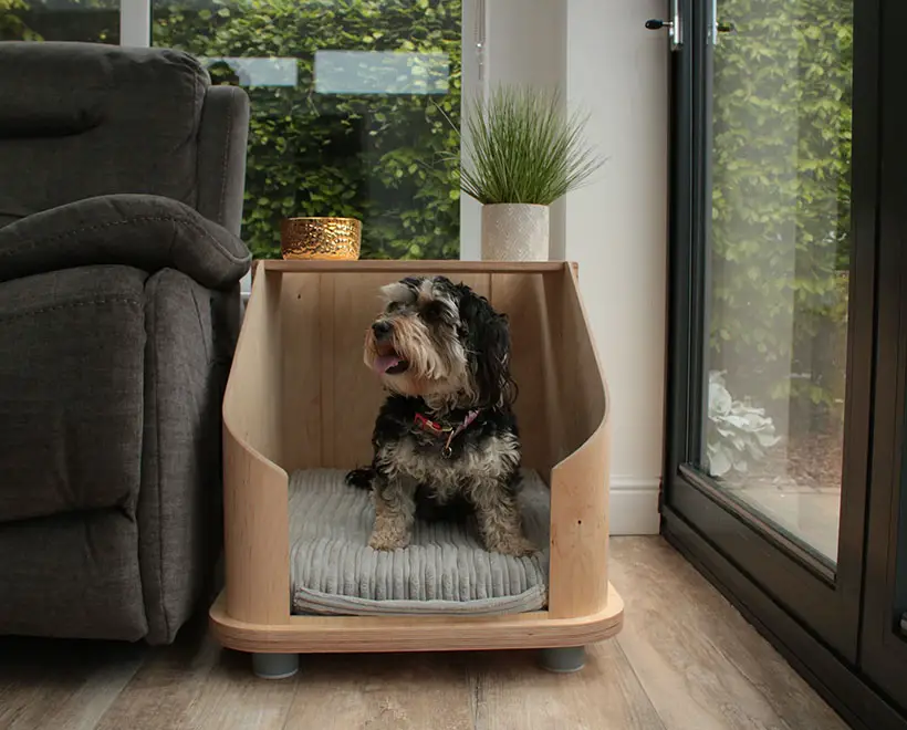 Doze Pet Furniture by Ashleigh Davies