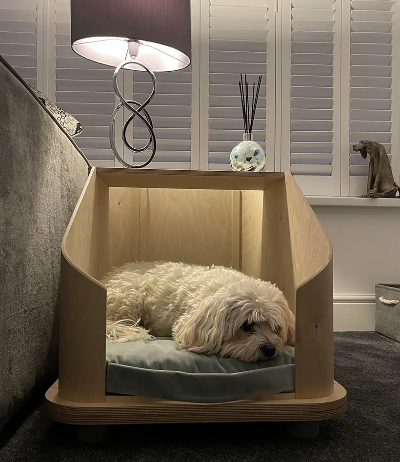 Doze Pet Furniture by Ashleigh Davies