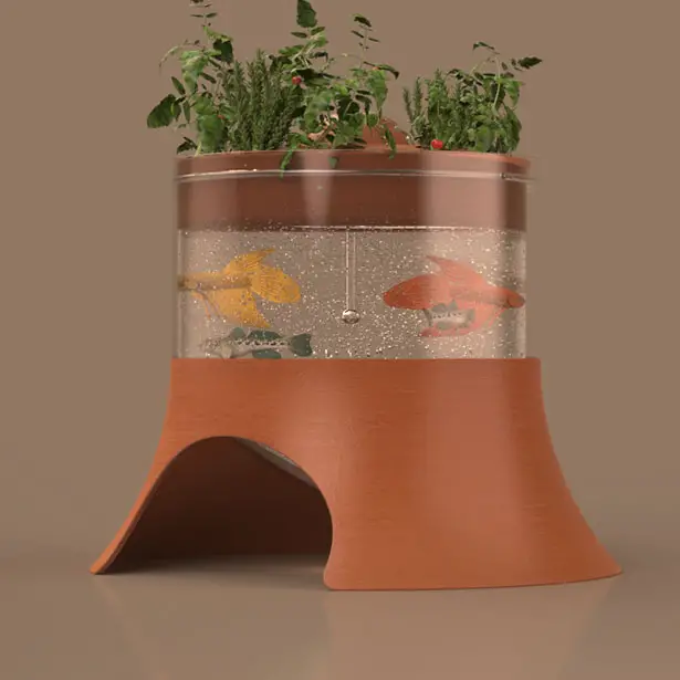 DUponix Aquaponics by Marco Balsinha