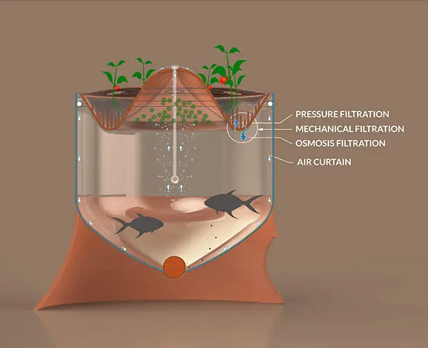 DUponix Aquaponics by Marco Balsinha