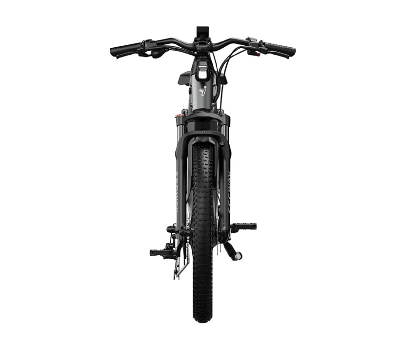 E-Bike Xafari Electric Bicycle by Ji Lin, Zhenping Du, Zhihong Li, and Jie Chen