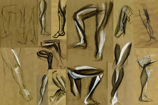 Ecko Prosthetic Leg Project by Jordan Diatlo