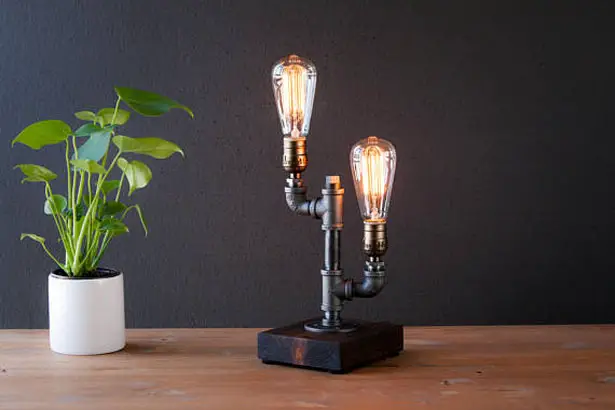 Edison Style Rustic Lamp by Urban Industrial Craft