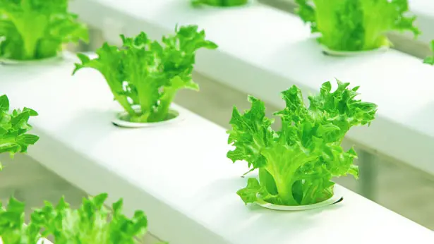 EkoFARMER : Modular Farming for Urban Environment