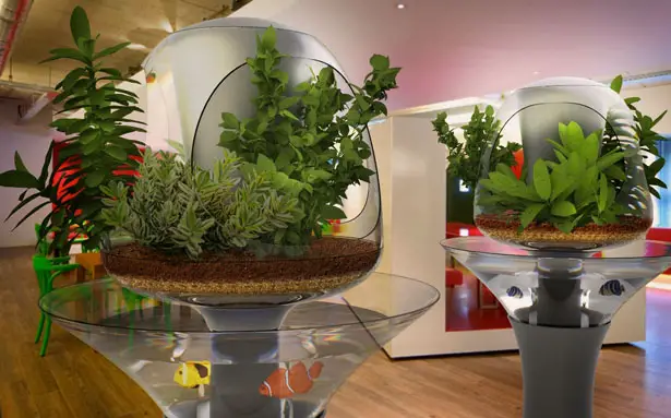 Éva Indoor Farmer : Green Alternative To The Traditional Compost Heap