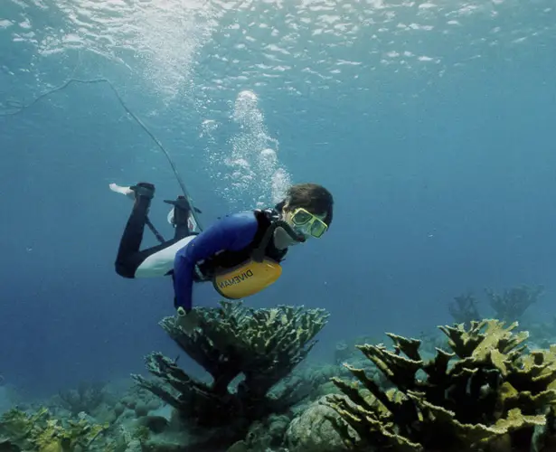 Exolung Underwater Breathing Device by Jörg Tragatschnig