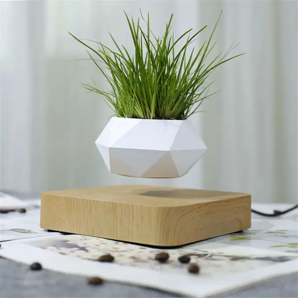 Airsai Floating Bonsai Plant by Floately