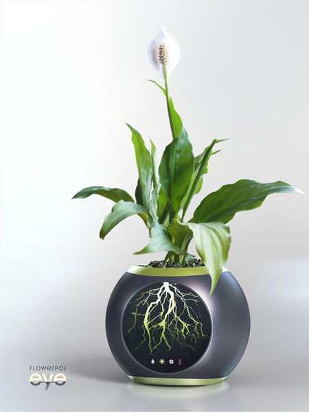 Flowerpot EYE Allows You To See the Root System Of A Plant