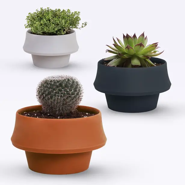 Fold Pot Grows with Your Plant