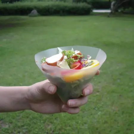 foldable bowl