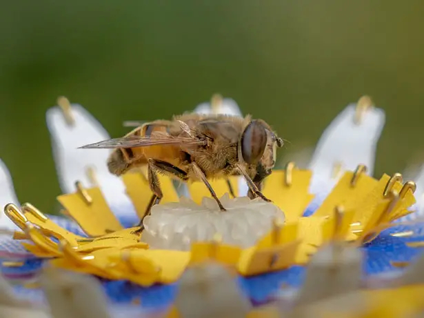 Food for Buzz - Artificial Flowers for Urban Bees by Matilde Boelhouwer