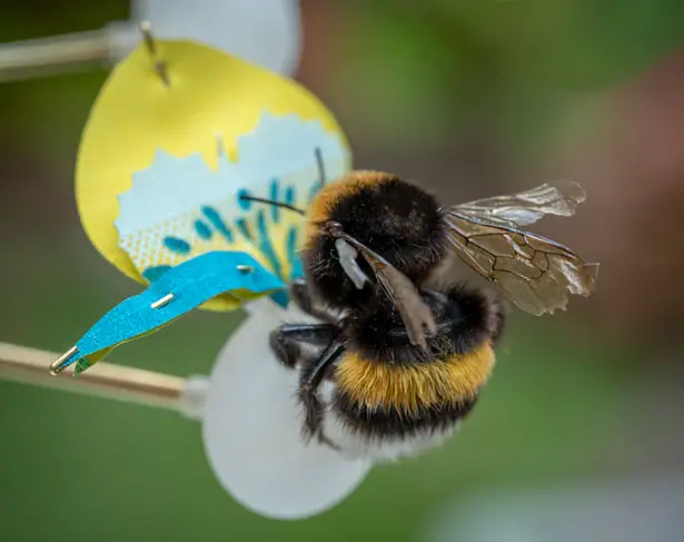 Food for Buzz - Artificial Flowers for Urban Bees by Matilde Boelhouwer