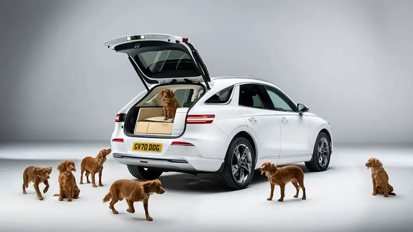 Genesis x Dog Provides A Luxurious Ride For Dogs