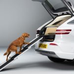 Genesis x Dog Provides A Luxurious Ride For Dogs