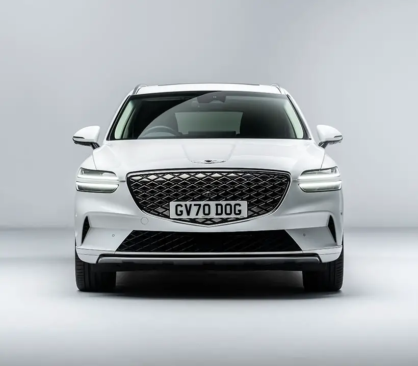 Genesis x Dog Provides A Luxurious Ride For Dogs