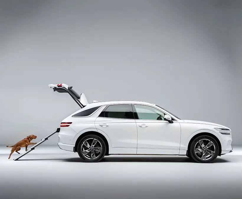 Genesis x Dog Provides A Luxurious Ride For Dogs