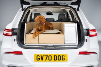 Genesis x Dog Concept Provides A Luxurious Ride For Dogs