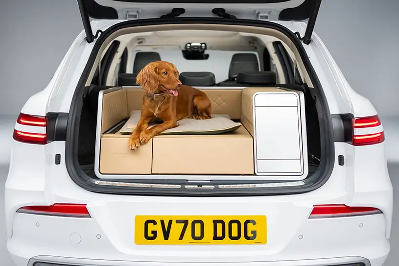 Genesis x Dog Provides A Luxurious Ride For Dogs