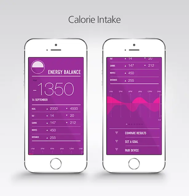 HealBe GoBe Calorie Intake Watcher