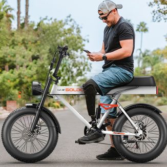 Goldoro Tank600 500W 20″ Electric Bike Features 7-Speed and Full Suspension
