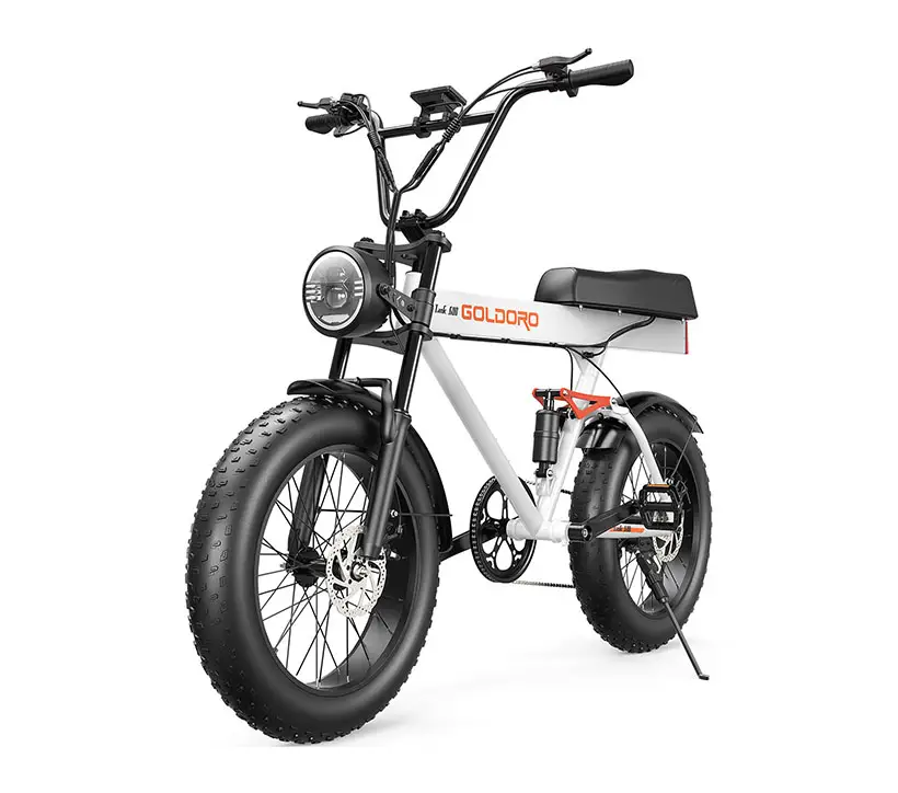 Goldoro Tank600 500W 20