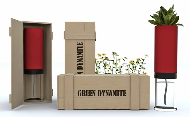 Green Dynamite Plant Pot by Miguel Silva