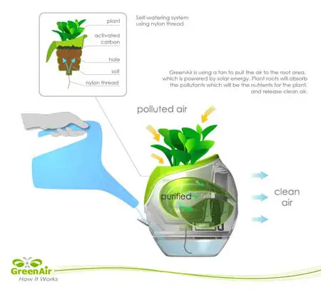 green air plant pot natural air purifier