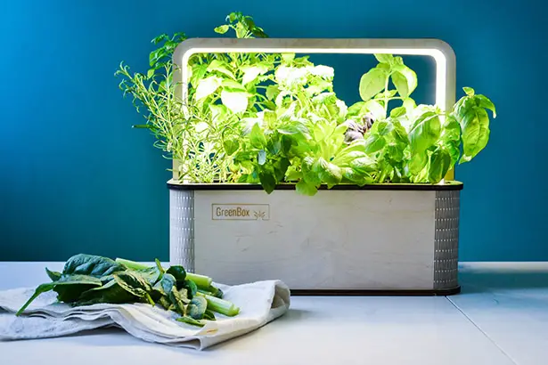 GreenBox Smart Indoor Garden