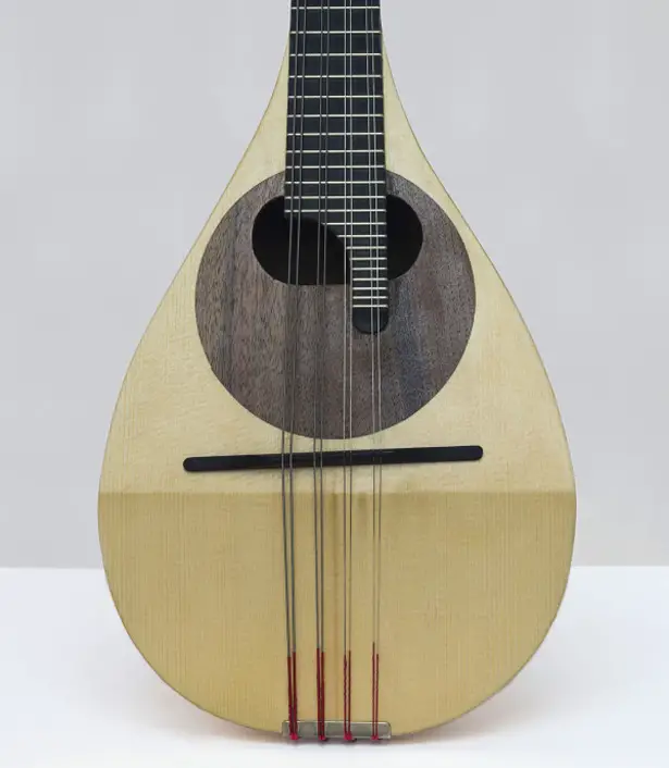 Giulio Iacchetti Mandolin Makeover by Tiziano Rizzi