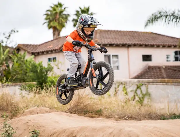 Harley Davidson Electric Balance Bike