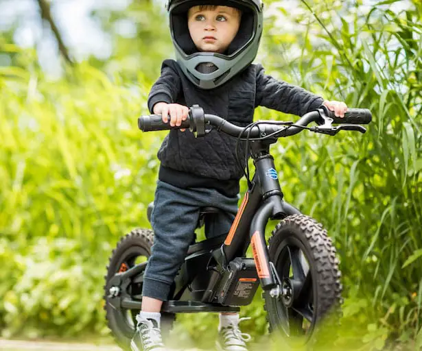 Harley Davidson Electric Balance Bike