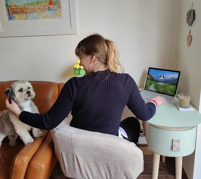 Harmony Space Saving Corner Desk That Works Great in a Small Living Space by Molly Haslam