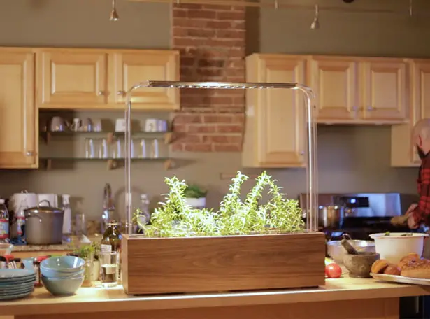 Herb Garden - Smart Indoor Garden System by MIT Engineers