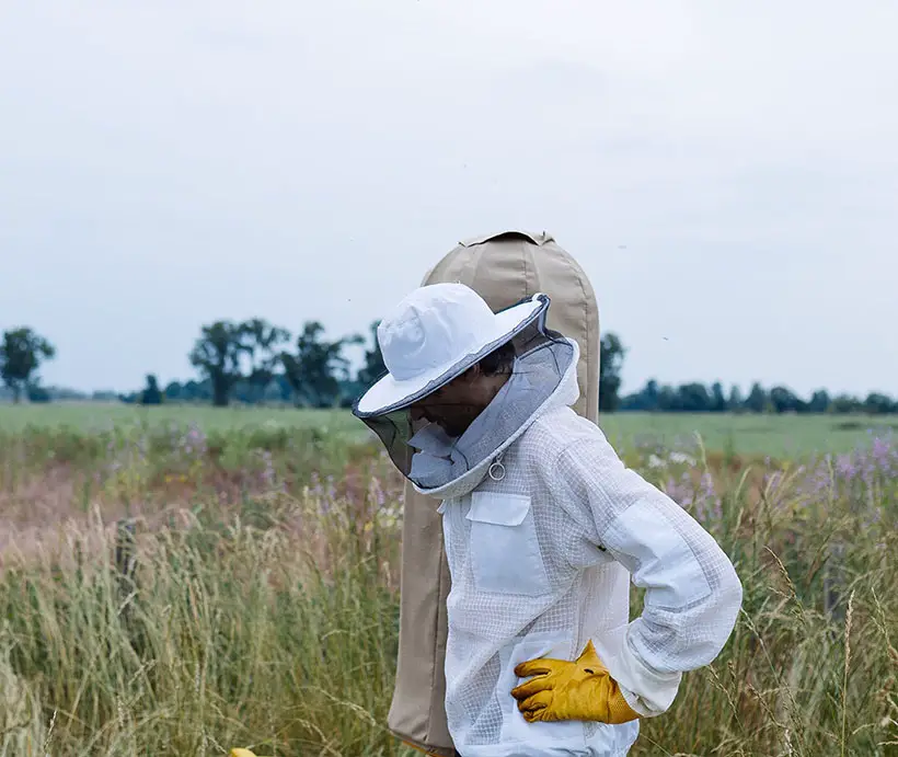 HIIVE - a Safe and Healthy Home for Bees