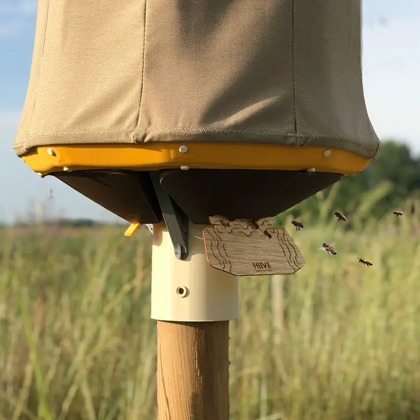 HIIVE - a Safe and Healthy Home for Bees