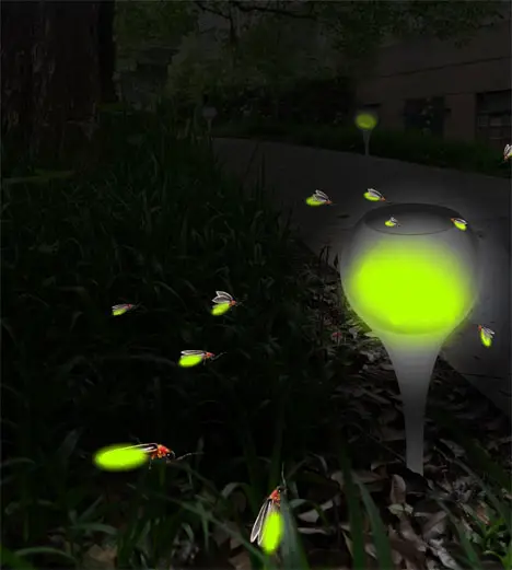 Home of Firefly : Beautiful and Natural Outdoor Light from Fireflies