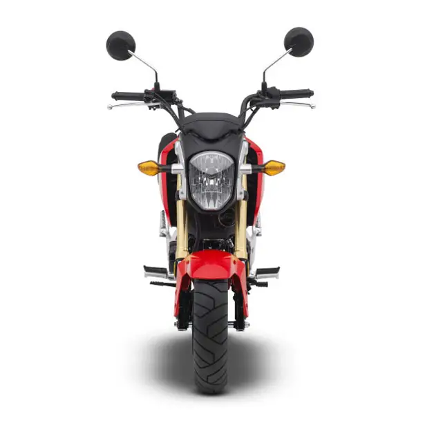 Honda Groom Motorcycle - Small Package, Big Attitude