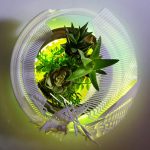 HydraLight Terrarium by Margot Krasojevic