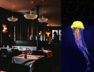 Elegant Jellyfish Inspired Lamp Design by Davide Esposti